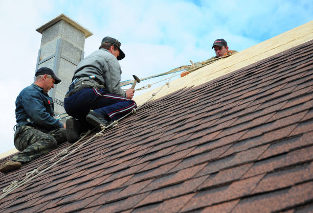 Best Roof Gutter Cleaning  in Rockwall, TX